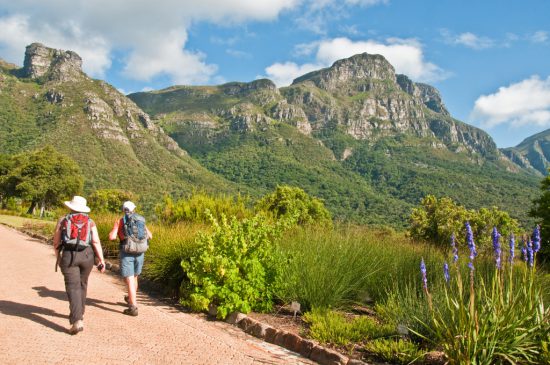 Hiking in Cape Town's Kirstenbosch Gardens South Africa