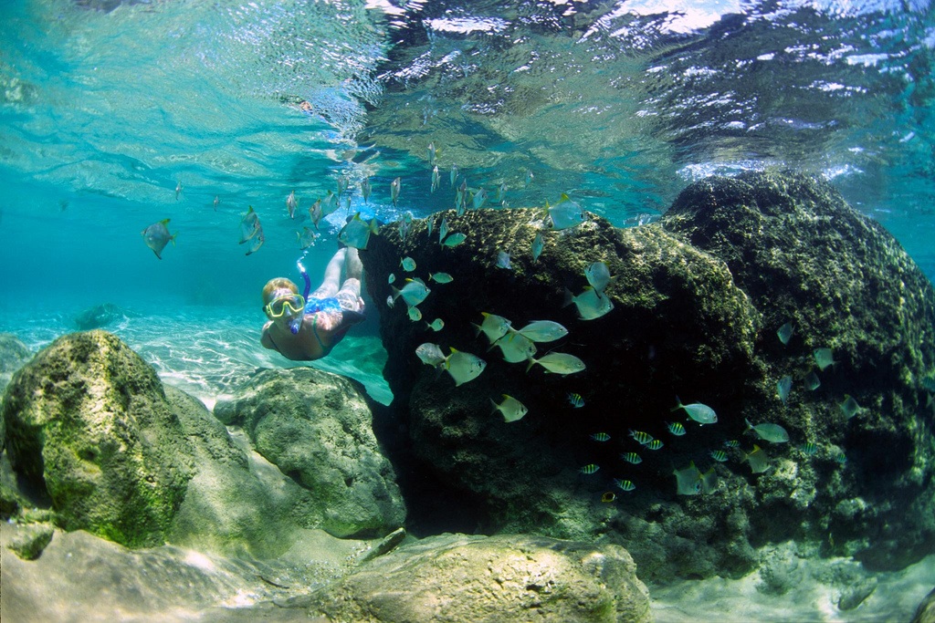 Snorkeling at Mabibi, South Africa