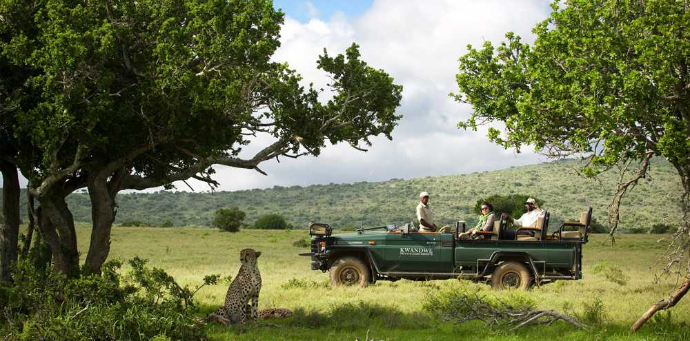 malaria-free safari at Kwandwe.