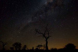 Nuit à la belle étoile en Afrique à Sbi Sand. Vacances romantiques à Sabi Sand en Afrique du Sud pour un voyage safari de luxe.
