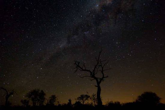 Atemberaubender Sternenhimmel über der südafrikanischen Wildnis