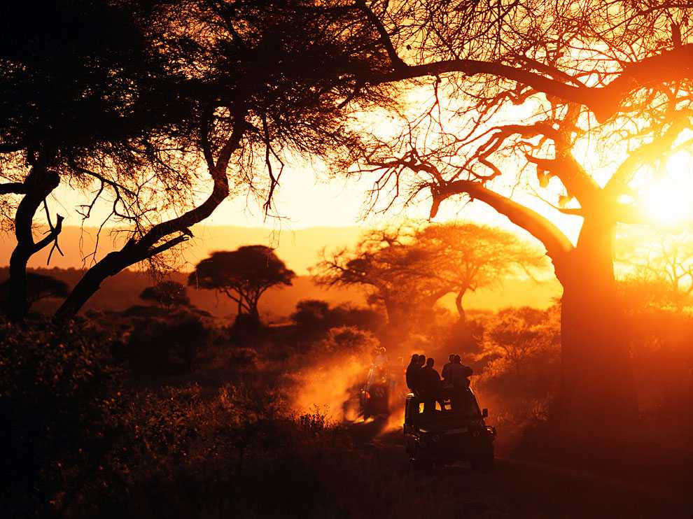 night safari africa