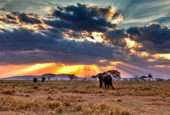 Serengeti offers magical sights