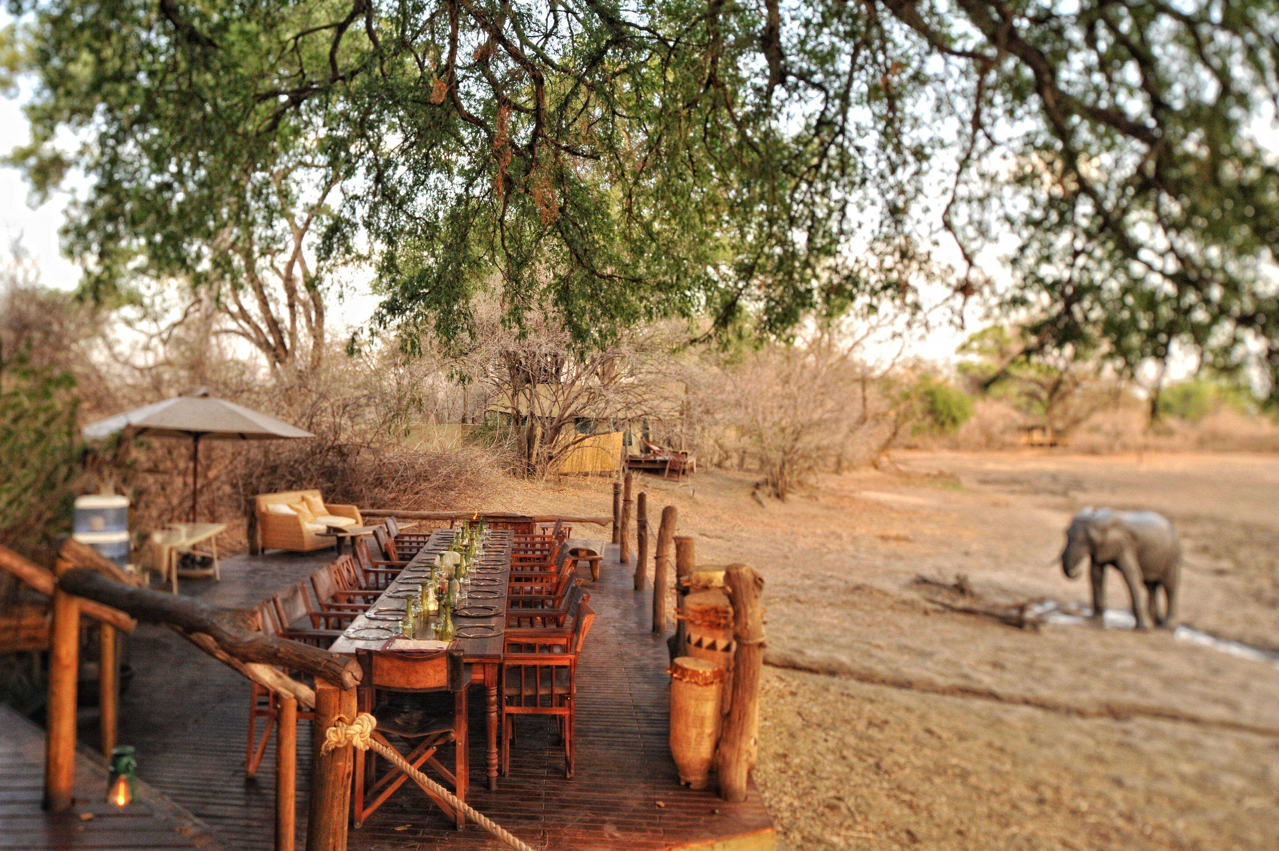 Mana Pools National Park's outdoor deck