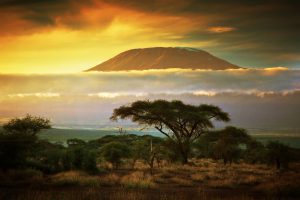 le Kilimanjaro au-dessus des nuages