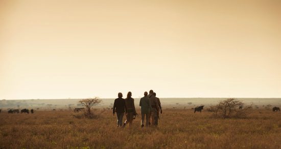 Explore this signature Southern Africa Safari today