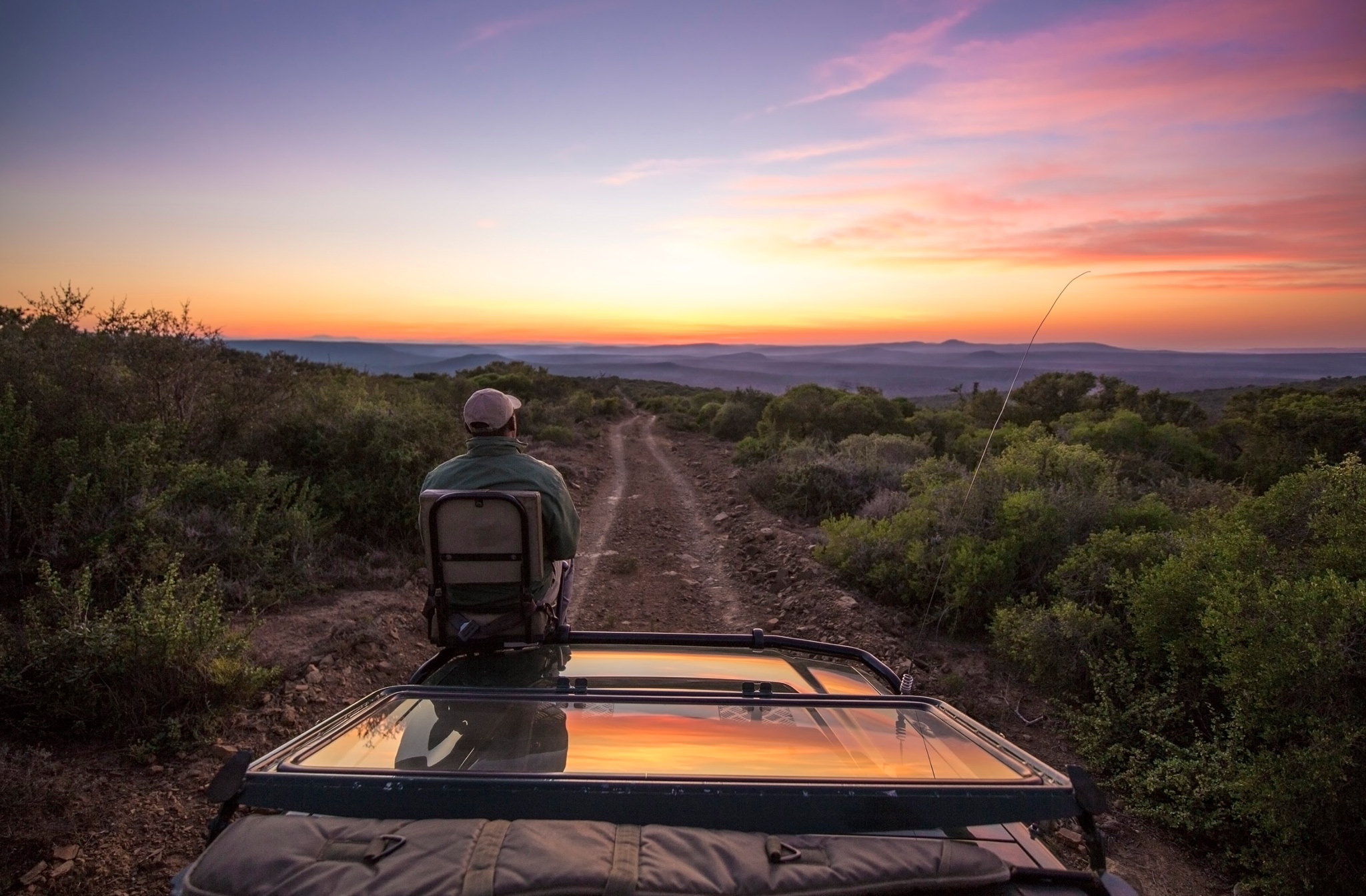 5 Pro Tips For Composition In Wildlife Photography Rhino Africa Blog