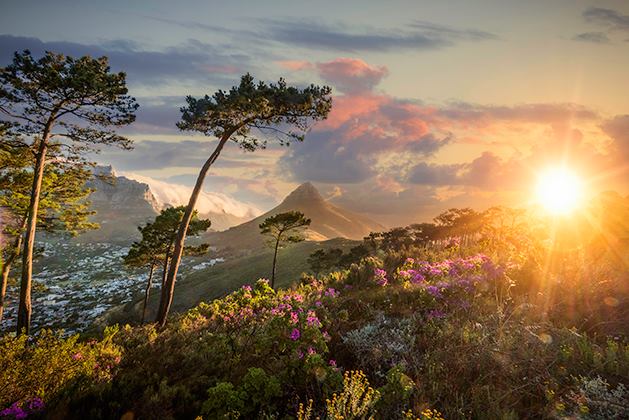 Alex Hill, Winner africas photographer of the year