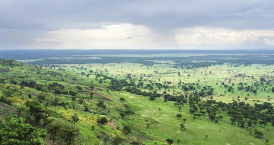 As belas colinas verdejantes de Uganda
