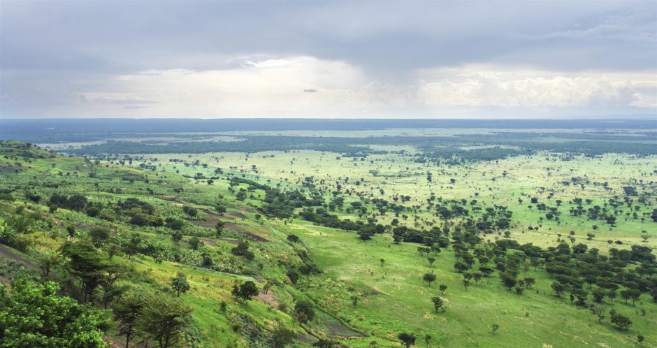 Espaço e serenidade aguardam na Floresta Impenetrável de Bwindi