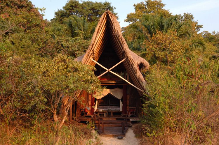 „digitale Detox“-rhino-africa-remote-places-travel Inmitten grüner Bäume steht eine Hütte