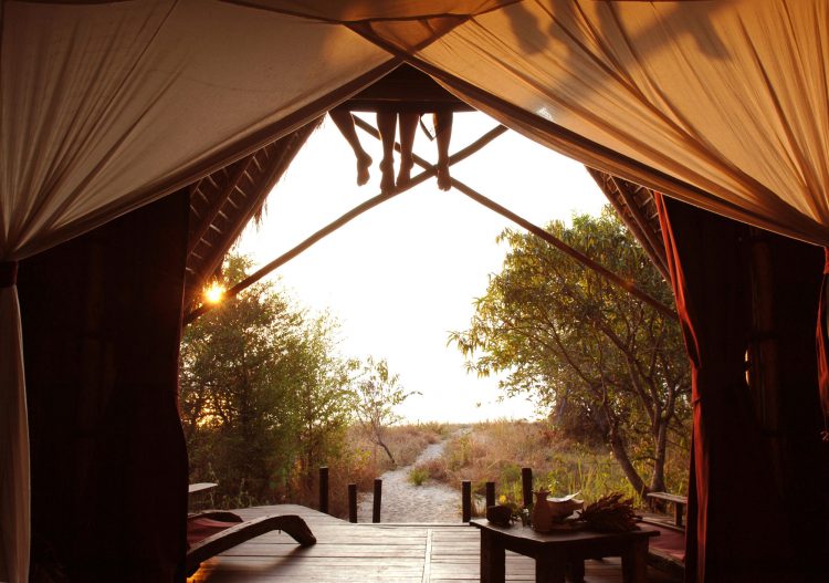 „digitale Detox“-rhino-africa-remote-places-travel Von einer Holzterrasse führt ein Weg durch das Grad, Füße von sitzenden Menschen