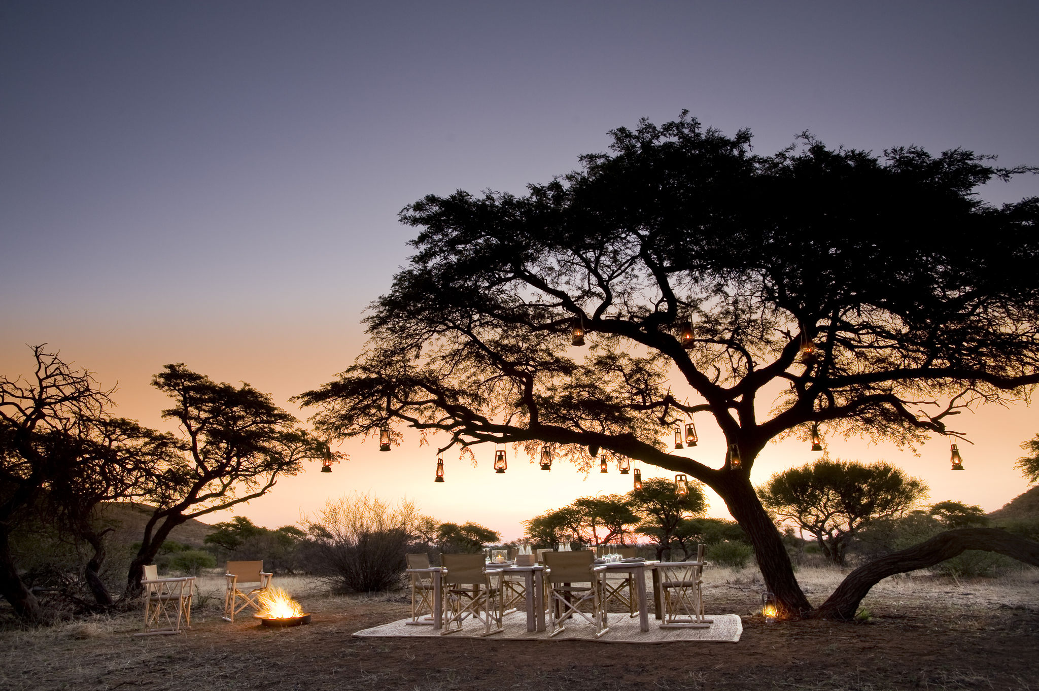 Dîner sous les acacias dans la réserve privée de Tswalu en Afrique du Sud.