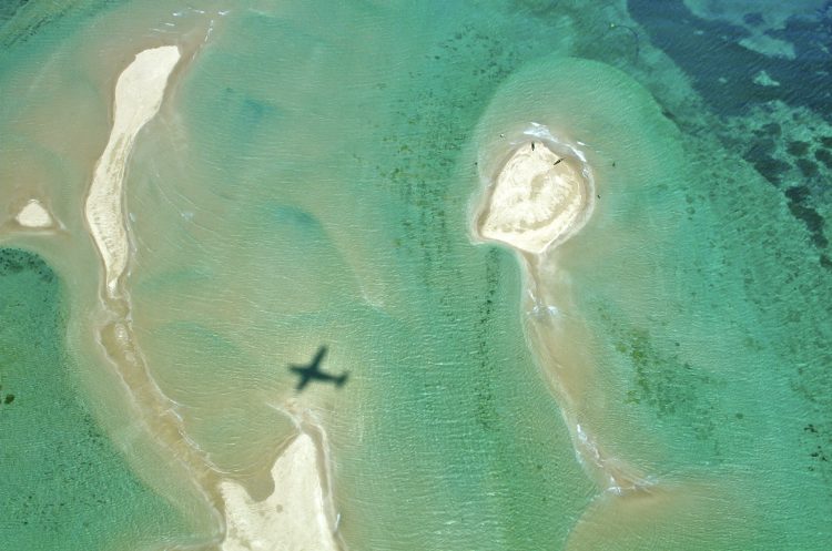 "digitales detox"-rhino-africa-travel-vamizi-island-views-aerial-remote-places-mosambik eine Aufnahme von oben: im Meer ein Schatten eines Flugzeuges