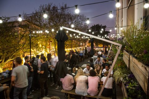 rooftop-bars-kapstadt-rhino-africa-travel-yourstruly