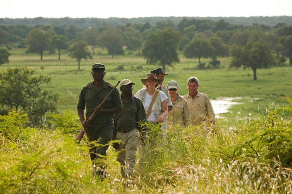 Los safaris a pie son una forma única de ver la sabana