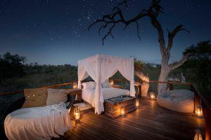 Nuit insolite en Afrique : Vacances romantiques à Sabi Sand en Afrique du Sud pour un voyage safari de luxe.