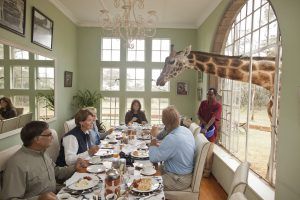 Breakfast with giraffes at Giraffe Manor