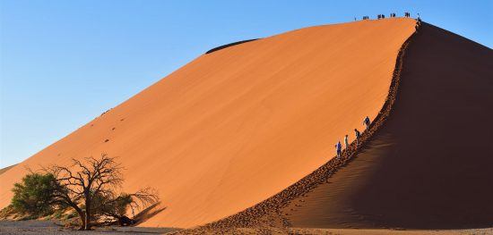 Die roten Dünen bei Sossusvlei - Afrikas Nationalparks