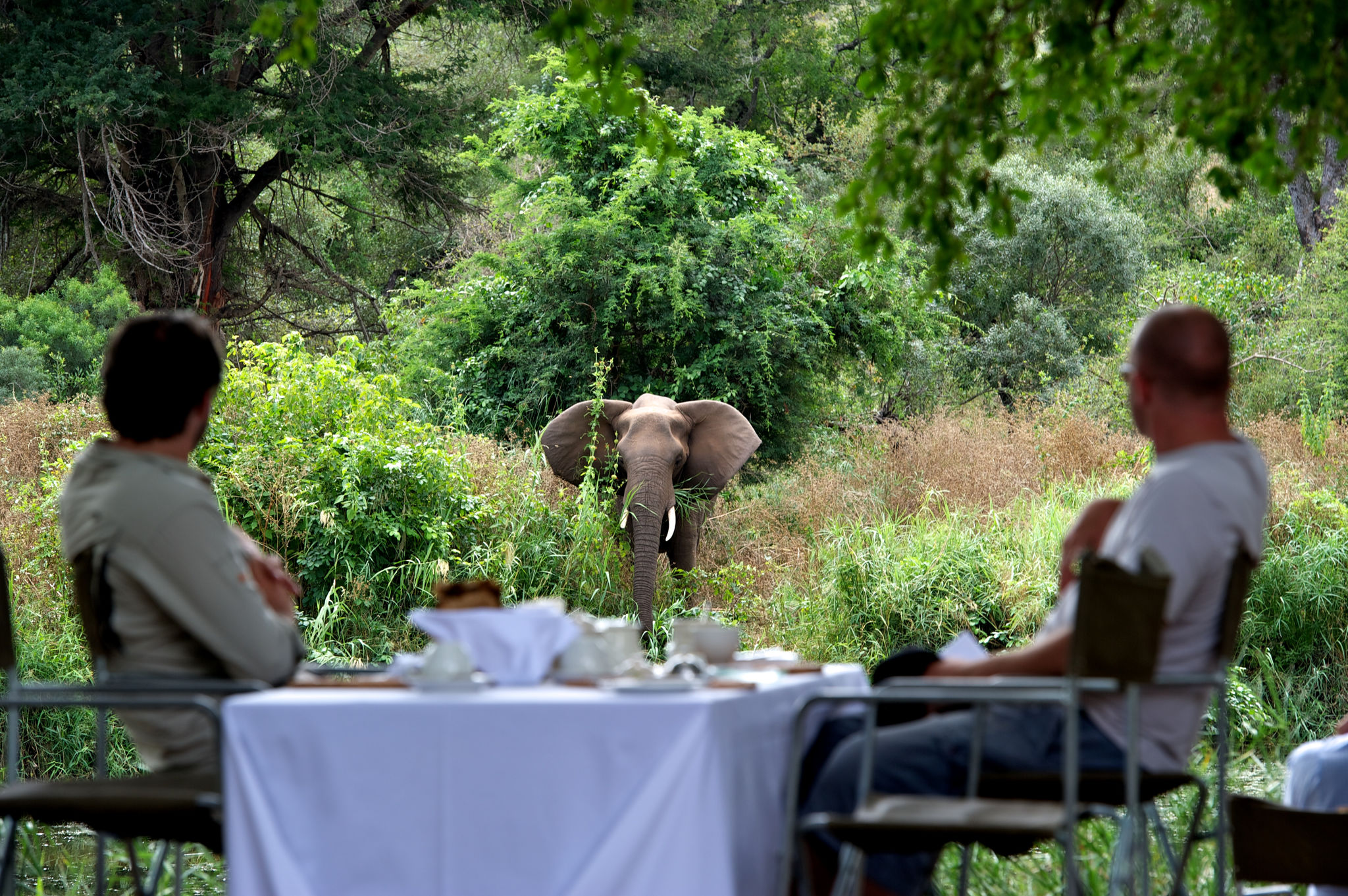 Les temps forts d’un safari à Singita