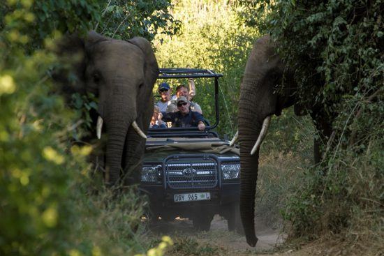 Tu vehículo de safari te está esperando.