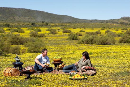 People having a picnic in the flowers of the West Coast of South Africa