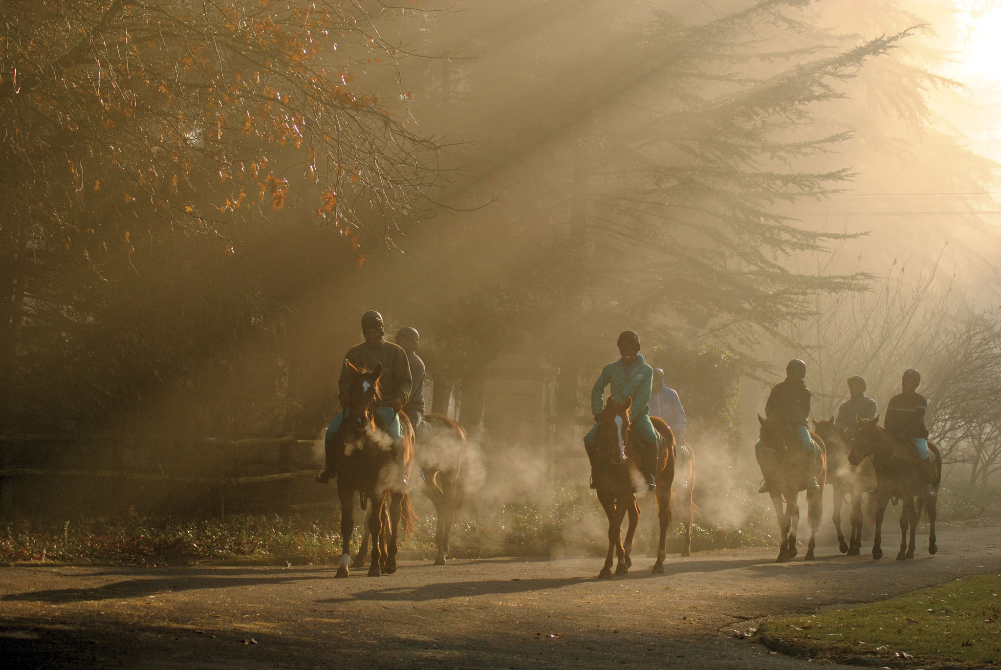 Horse riding at Hartford House in South Africa