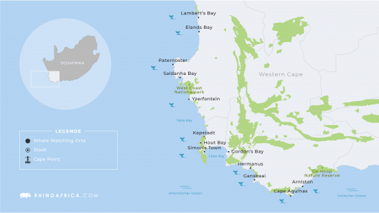 Eine Karte fürs Whale Watching in Südafrika mit den besten Orten für Walbeobachtungen