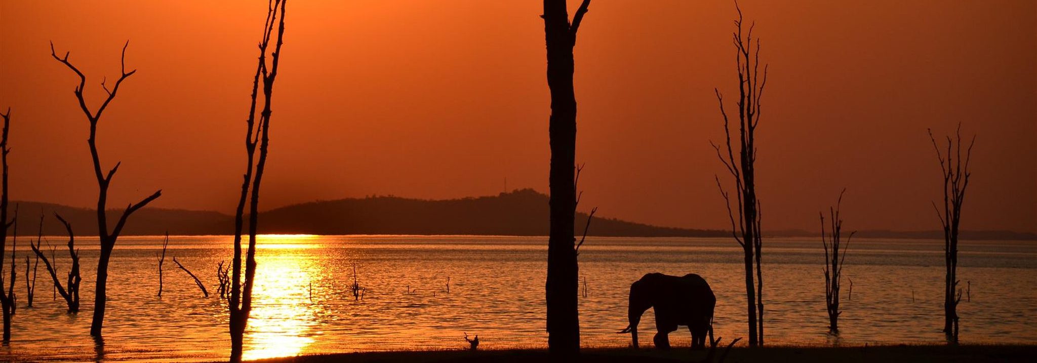 Elephant silhouette on Lake Kariba