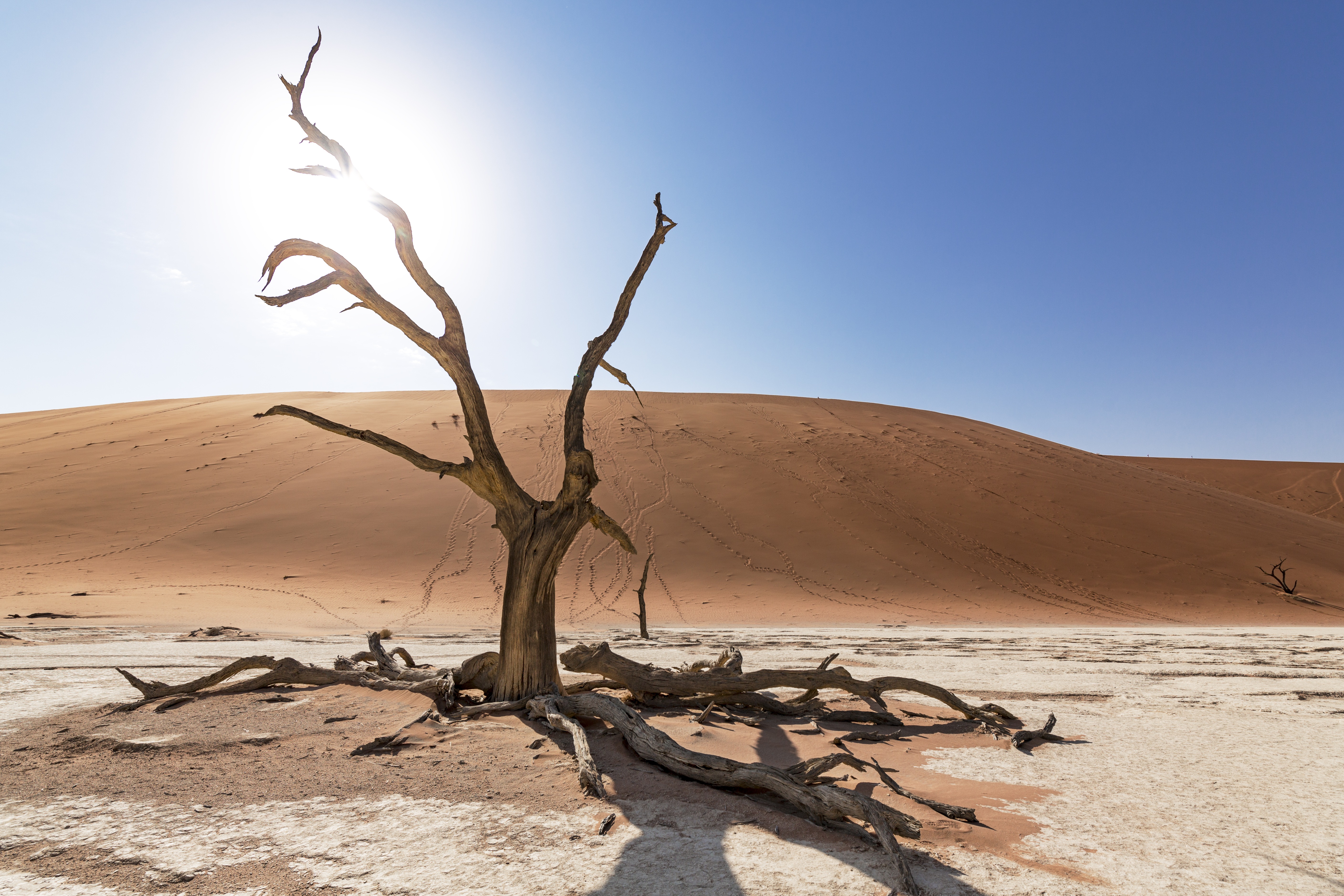 Visite Namibia por sus paisajes de otro mundo, como los del Parque Nacional de Namib-Naukluft