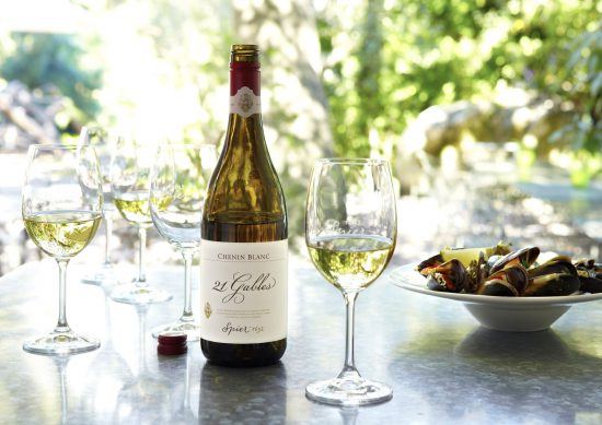 Wine Tasting bei Spier in Stellenbosch - Weinfarmen bei Kapstadt