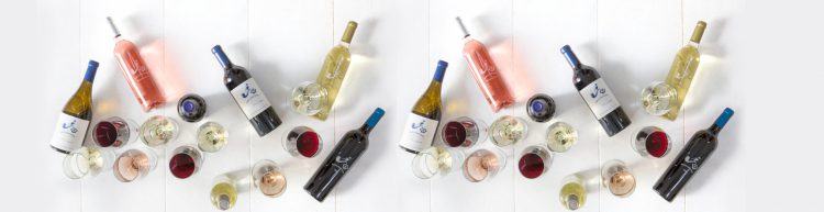 Variedad de vinos para disfrutar