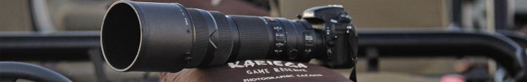 Un lente telefoto es muy útil para fotografiar animales salvajes