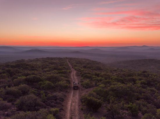 Sunset game drives in Kwandwe Game Reserve in Rhino Africa's Complete Guide