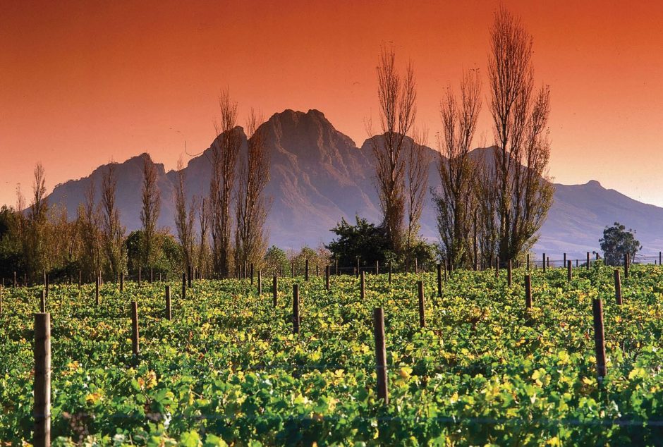 Romantic sunset in Franschhoek in the Cape Winelands