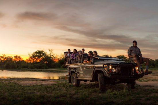 silvan-safari