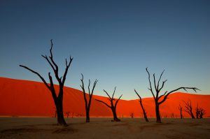 Sunset in the Namibia desert