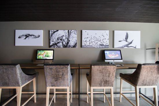 Media room, Silvan Safari Uma das exclusividades de Silvan Safari é o media room, onde os guias podem treinar suas habilidades em Photoshop e hóspedes podem descarregar e trabalhar em suas fotos. Foto: Silvan Safari