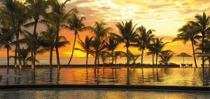 Orange sunset behind palm trees on the beach