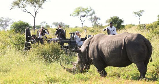 On a private reserve, travellers can off-road to see animals up close