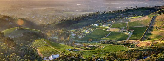 Weinfarm bei Kapstadt: Constantia Glen aus der Vogelperspektive