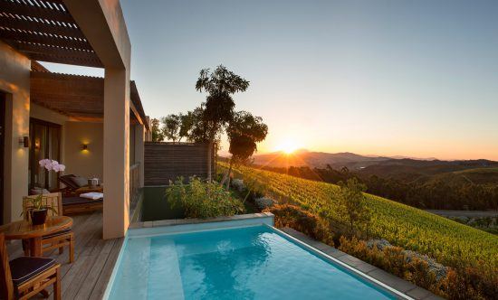 Weinfarm bei Kapstadt: Pool mit Aussicht auf die Weinberge bei Delaire Graff