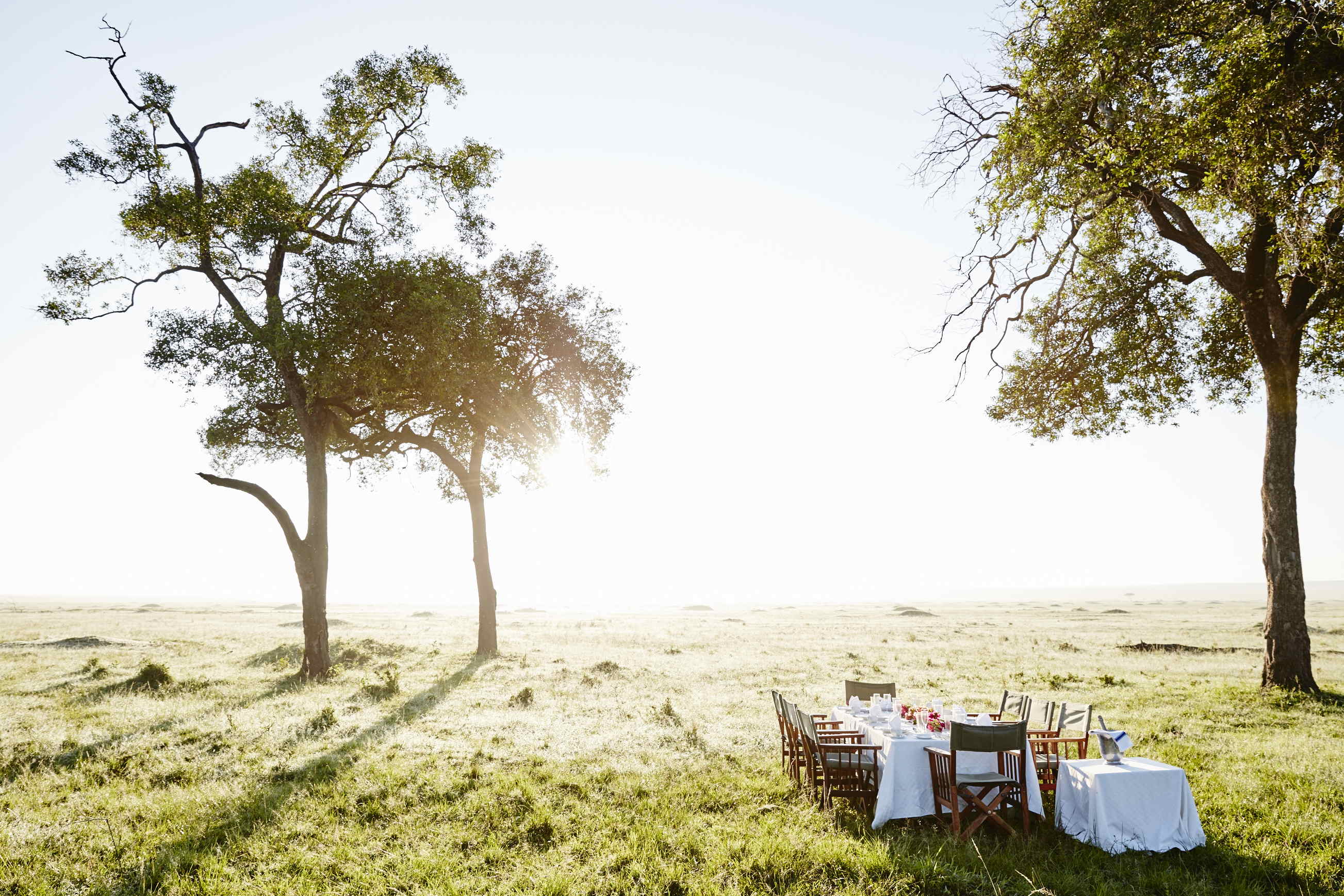 Bush breakfast in the Maasai Mara at Governors' Camp