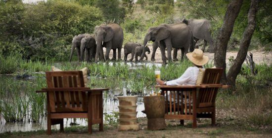 Elefanten an einem Wasserloch vorm Tanda Tula Safari Camp
