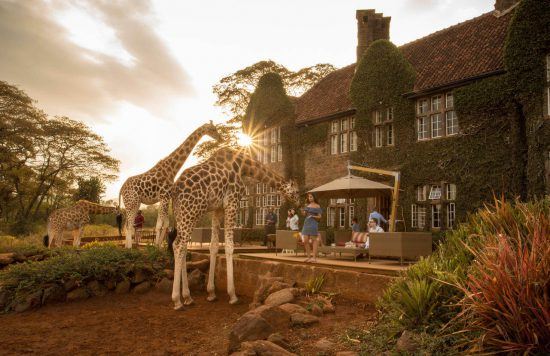giraffe-manor-kenya You can share your breakfast with giraffe at this gorgeous manor estate