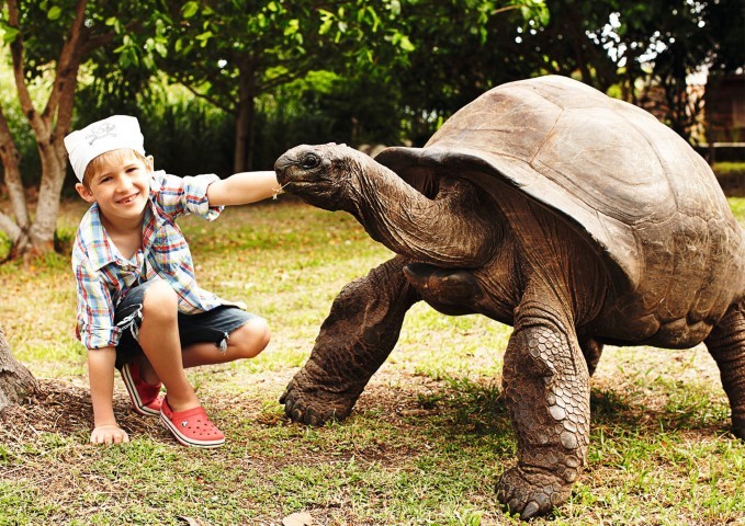 Kind und Rießenschildkröte