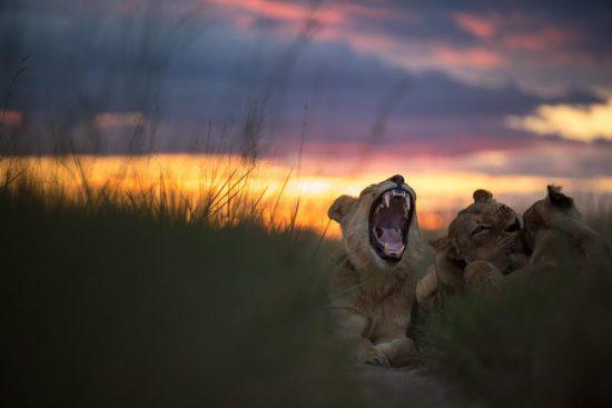 If the path less travelled speaks to you, Zimbabwe has much to offer