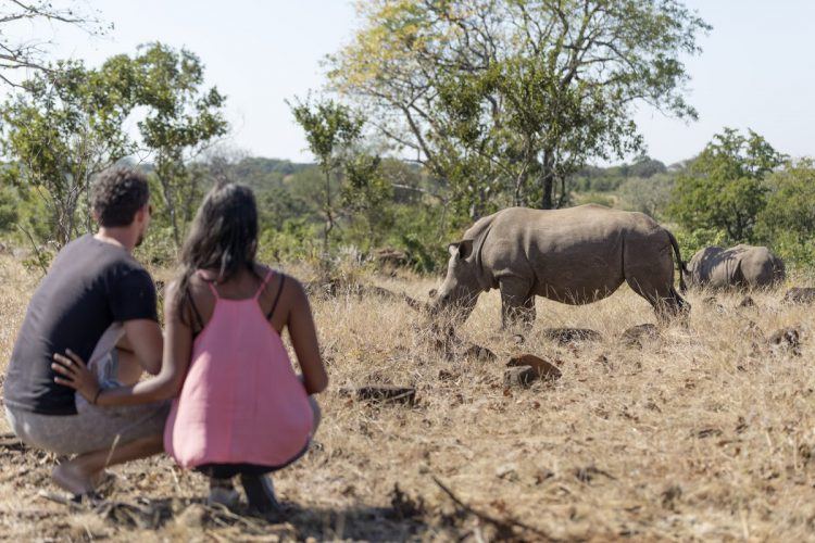 Rhinocéros dans le centre de protection de Mosi-oa-Tuya au Zimbabwe.