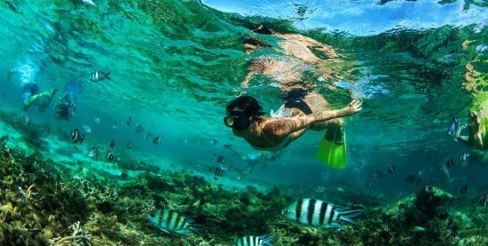 En las aguas de Mauricio podrás practicar snorkel y disfrutar de su rica vida marina.