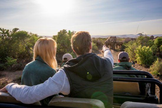 Safari an der Garden Route: Ein Paar auf einer Pirschfahrt im Kwandwe Private Game Reserve
